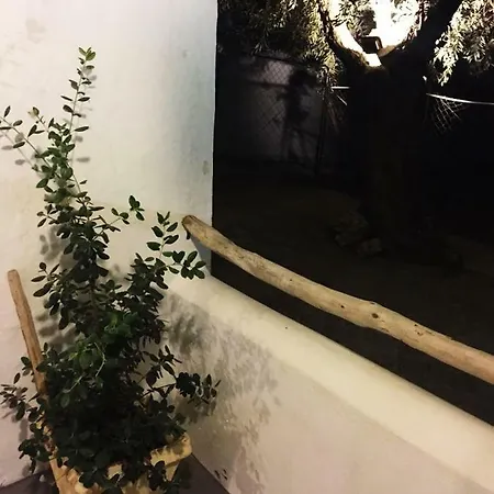 Homy * Skyros